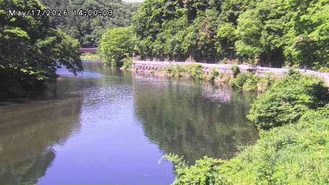 日野川７2026/05/17 21:00:00