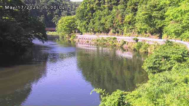 日野川７2026/05/17 21:00:00