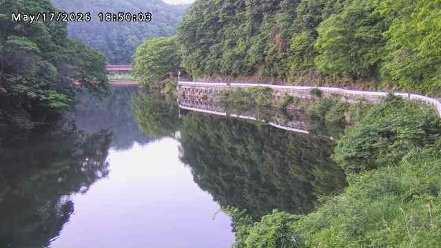 日野川７2026/05/17 21:00:00