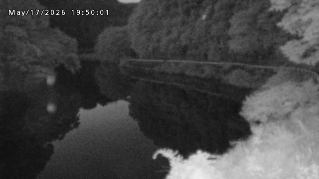 日野川７2026/05/17 21:00:00