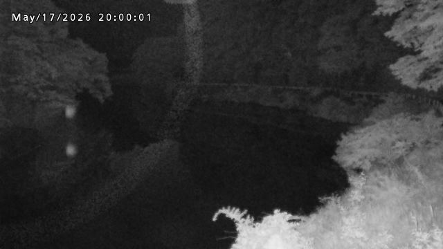 日野川７2026/05/17 21:00:00