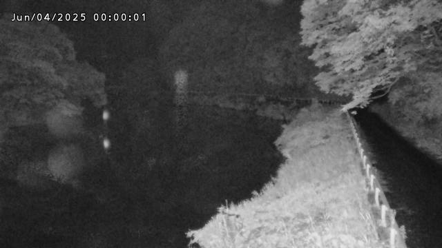 日野川７2025/06/04 3:10:00