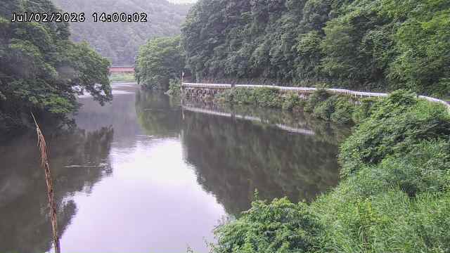 日野川７2026/07/03 9:30:00