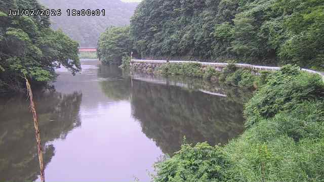 日野川７2026/07/03 9:30:00