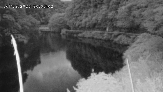 日野川７2026/07/03 9:30:00
