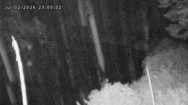 日野川７2026/07/03 9:30:00