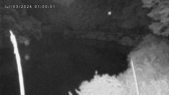 日野川７2026/07/03 9:30:00
