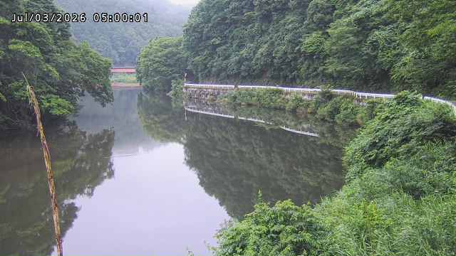 日野川７2026/07/03 9:30:00