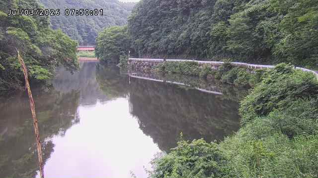 日野川７2026/07/03 9:30:00