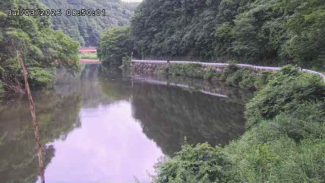日野川７2026/07/03 9:30:00