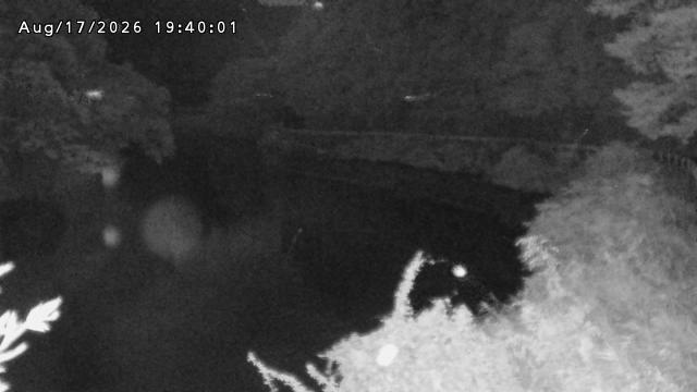 日野川７2026/08/17 21:00:00