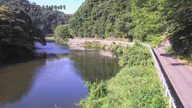 日野川７2025/08/31 11:20:00