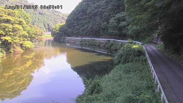 日野川７2025/08/31 11:20:00