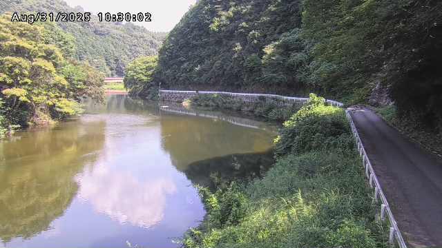 日野川７2025/08/31 11:20:00