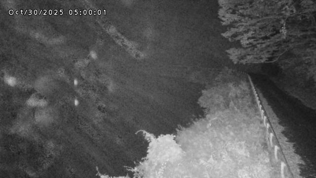 日野川72025/10/31 05:50