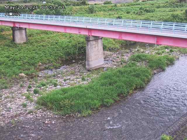八東川２2026/05/30 3:30:00
