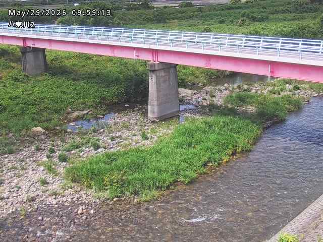 八東川２2026/05/30 3:30:00