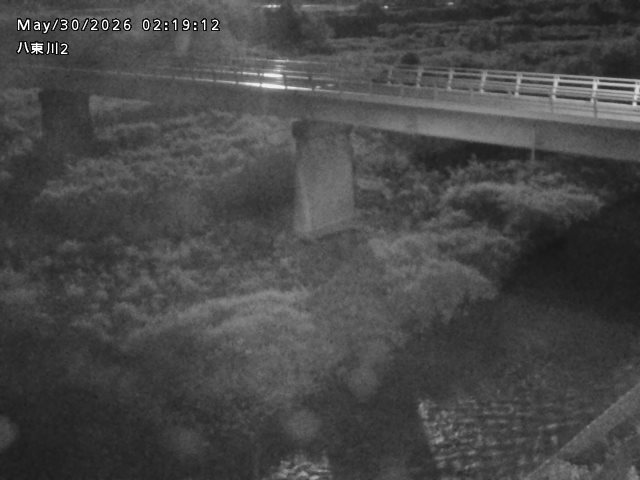 八東川２2026/05/30 3:30:00