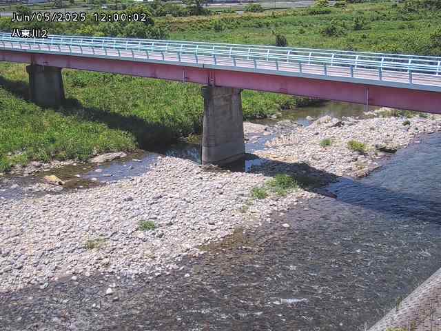 八東川２2025/06/06 1:10:00