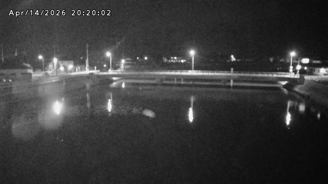 橋津川水門１（下流）2026/04/14 23:20:00