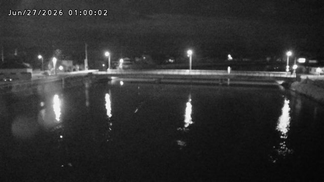 橋津川水門１（下流）2026/06/27 19:20:00