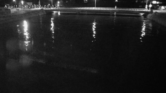 橋津川水門１（下流）2026/08/11 20:20:00