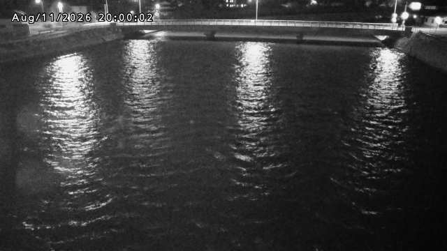 橋津川水門１（下流）2026/08/11 20:20:00