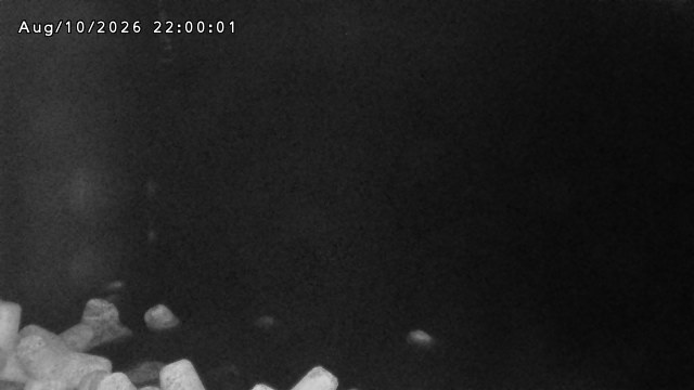鳥取港