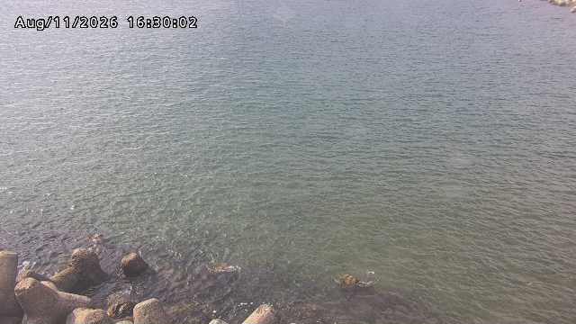 鳥取港