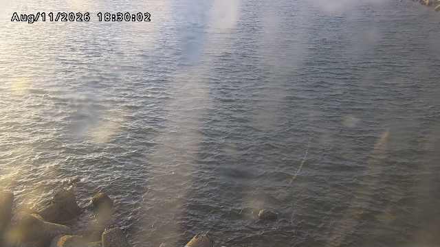 鳥取港