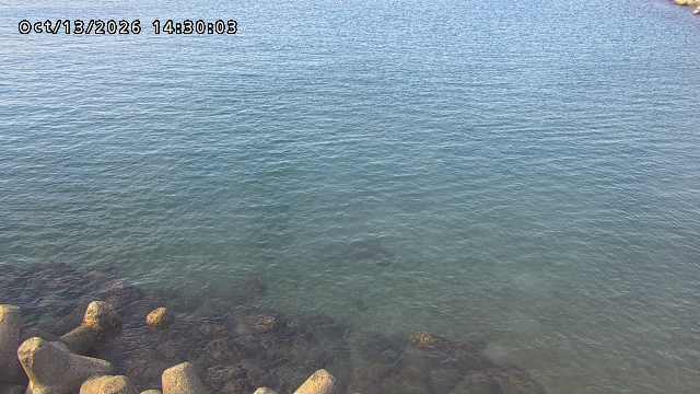 鳥取港