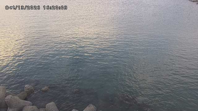 鳥取港
