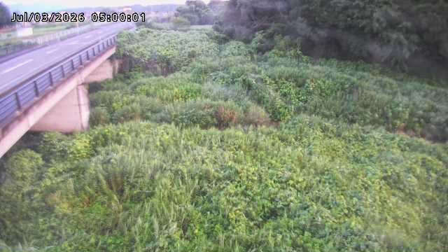 矢送川１