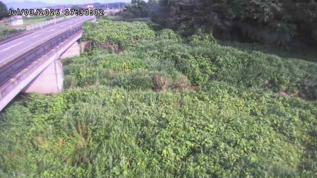 矢送川１
