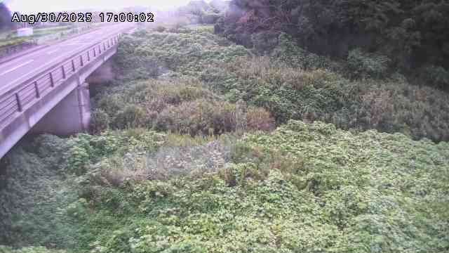 矢送川１