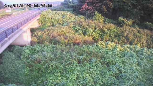 矢送川１