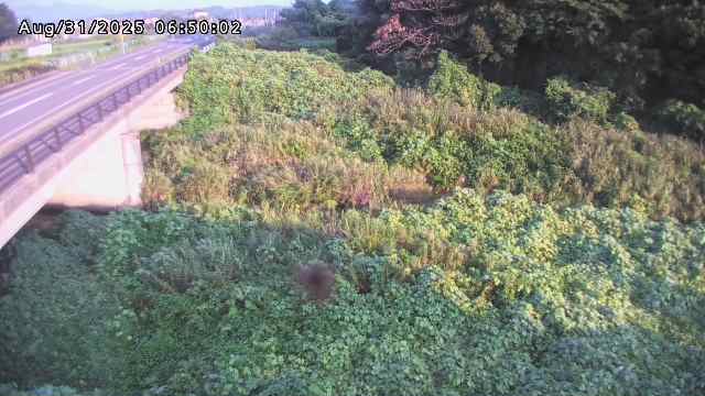 矢送川１