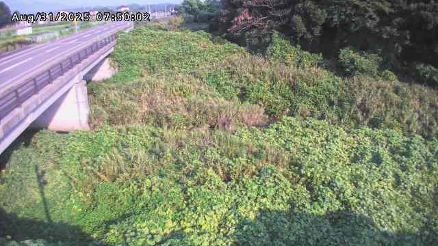 矢送川１