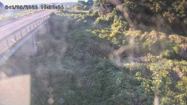 矢送川１