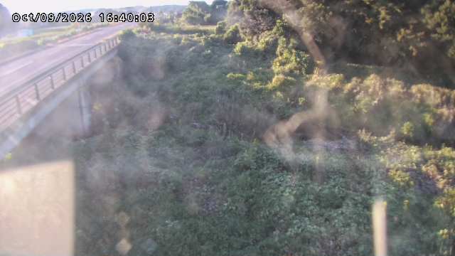 矢送川１