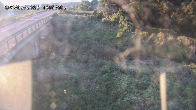 矢送川１