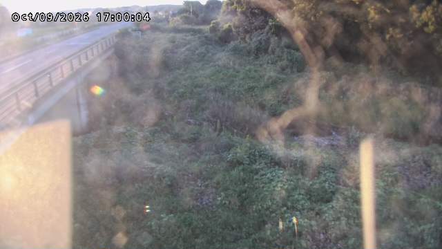 矢送川１