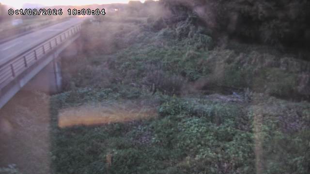 矢送川１