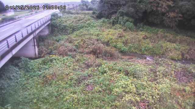 矢送川１