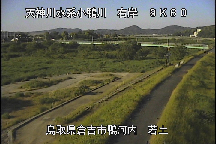 若土