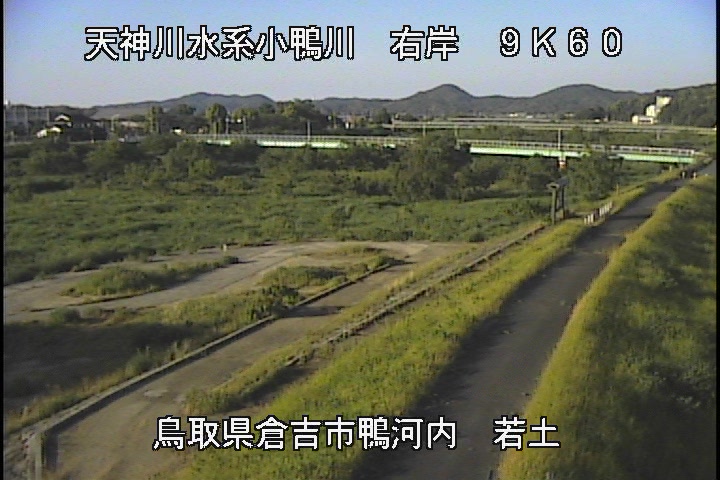 若土