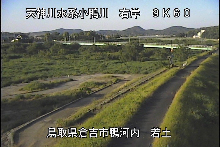 若土