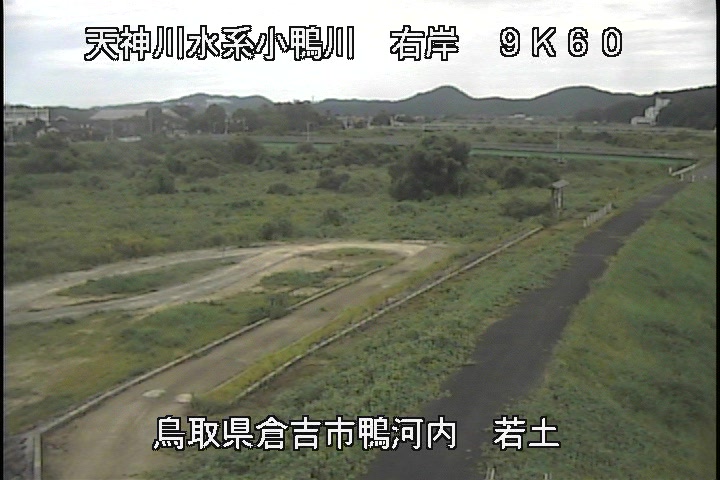 若土