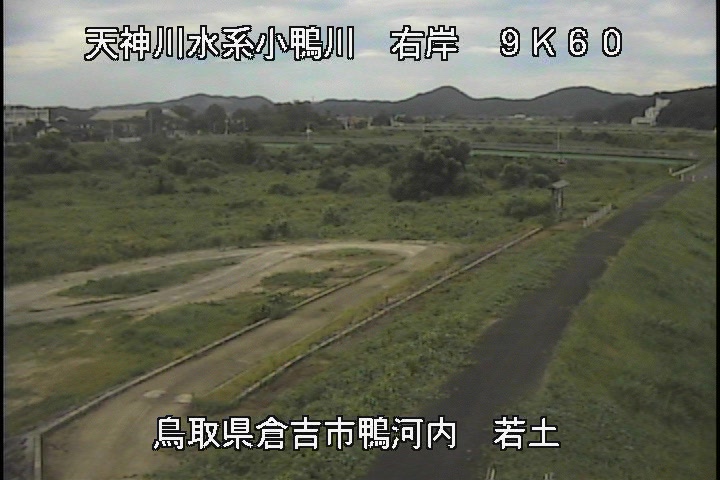 若土