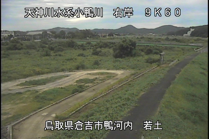若土